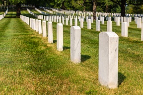 Photo of rows of headstones in grassed cemetery