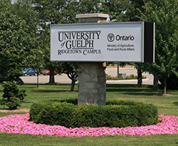 Photo of University of Guelph Ridgetown Campus main entrance sign