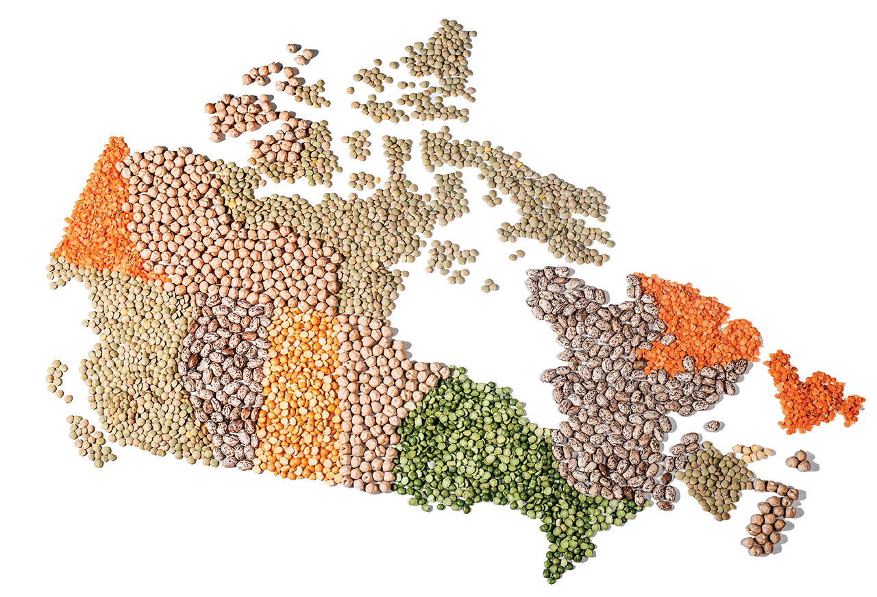 12th Canadian Pulse Research Workshop [illustration of a map of Canada using pulses]