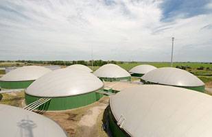 Photo of biogas plant