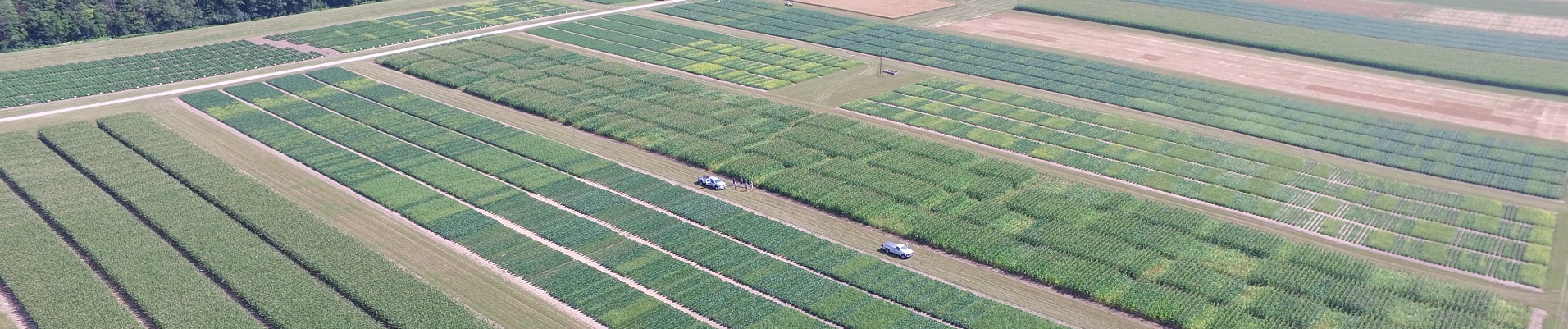Aerial photo field plots
