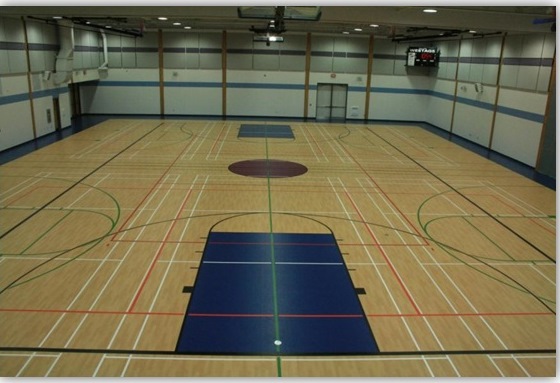 Photo of Large School Gymnasium