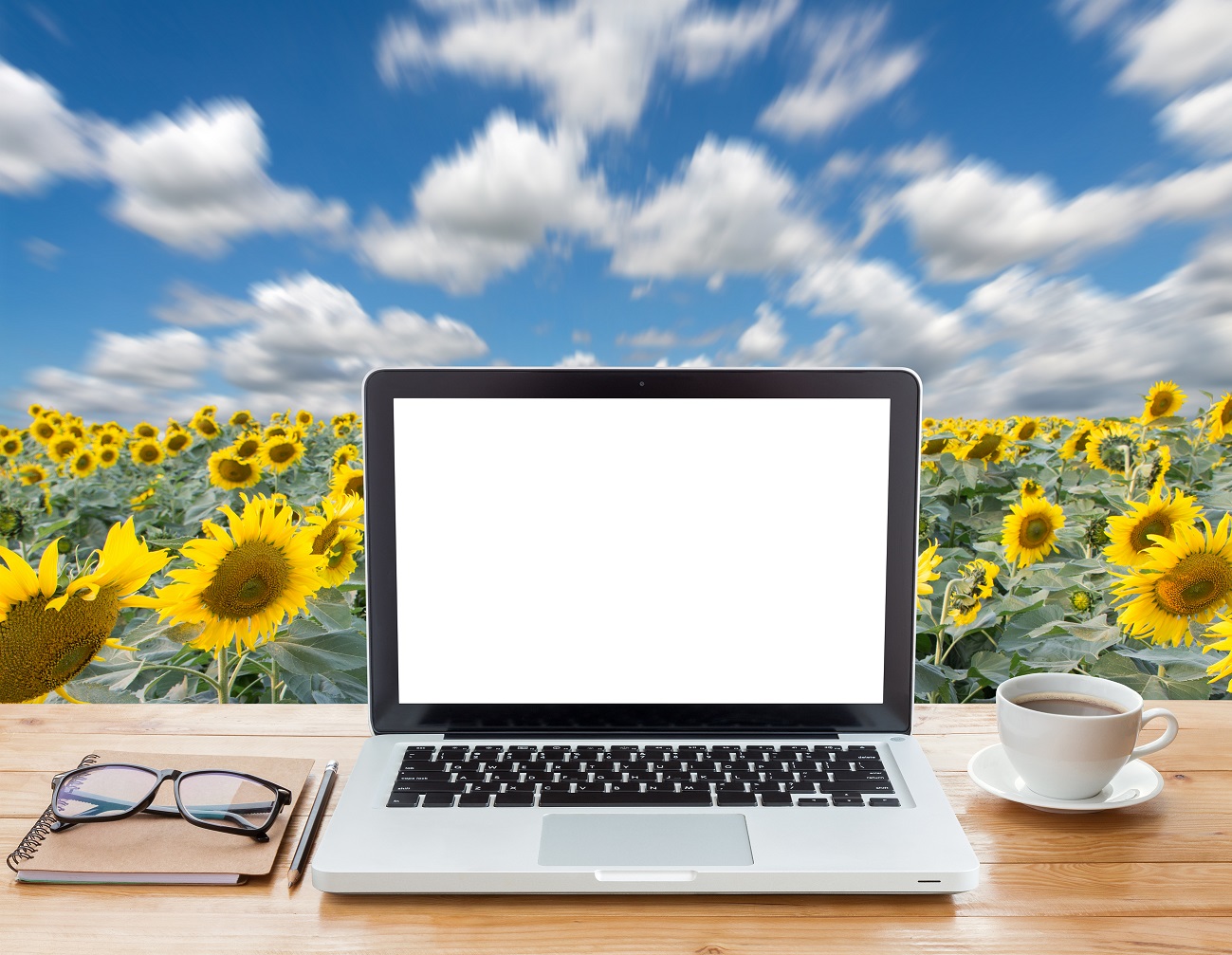 Picture of laptop, glasses and coffee cup on desk with sunflowers and sky in background.